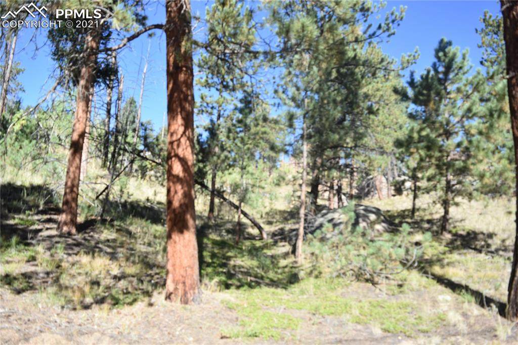 267 Overlook Circle - Photo 1