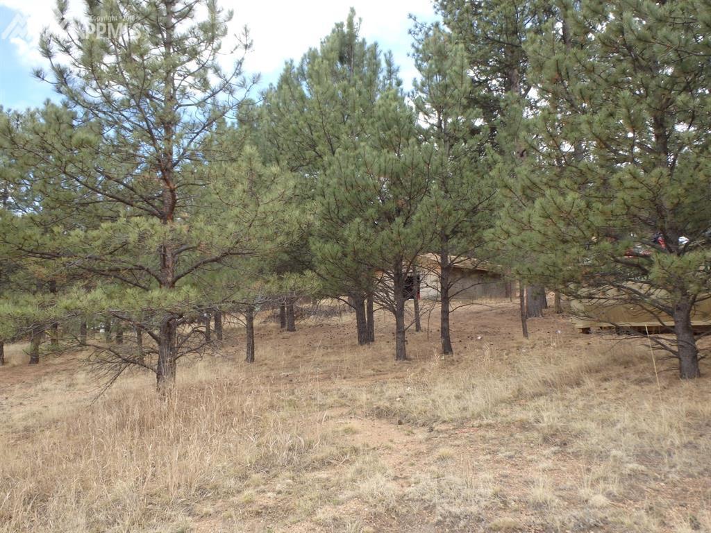 55 Kara Lane - Photo 1