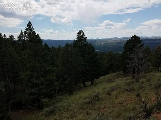 552 Douglas Fir Drive - Photo 1
