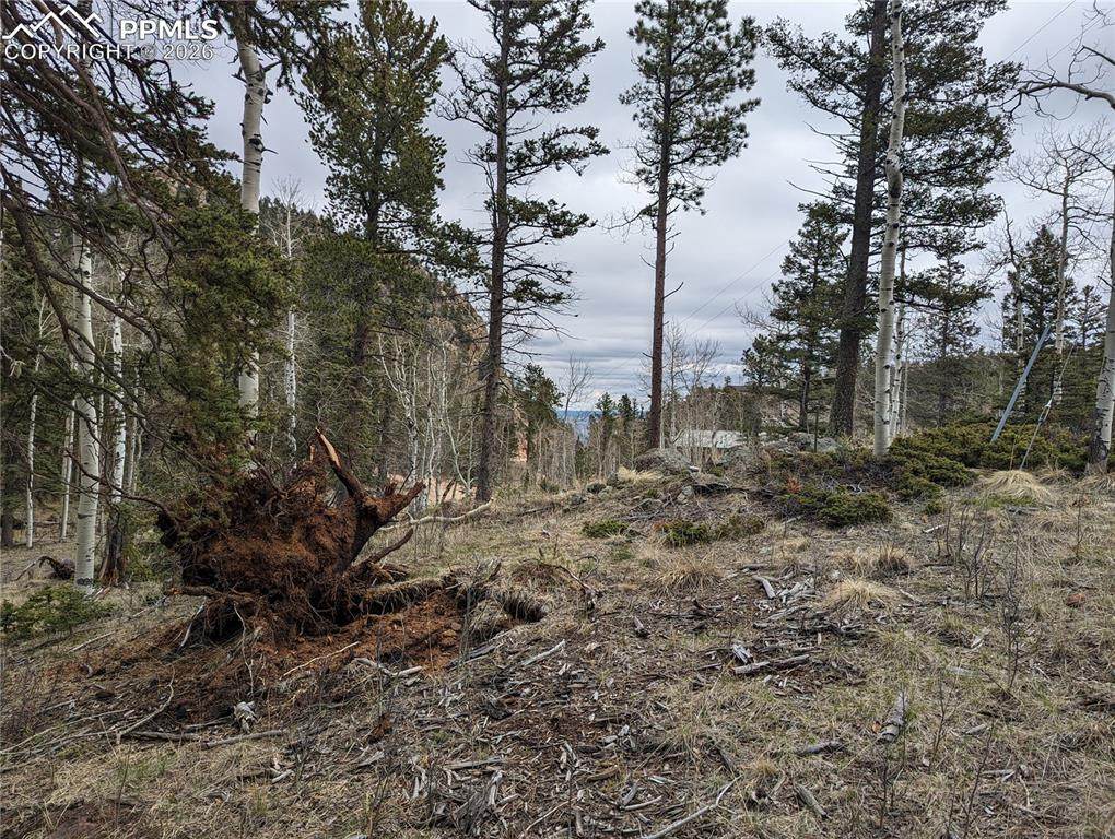 146 Waterfall Loop - Photo 1