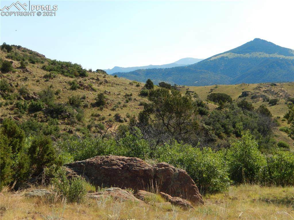 2401 County Road 11 - Photo 1