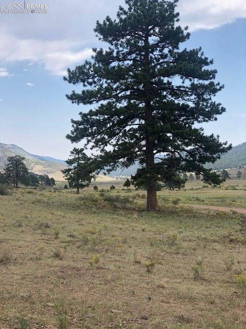80 Elk Run - Photo 1