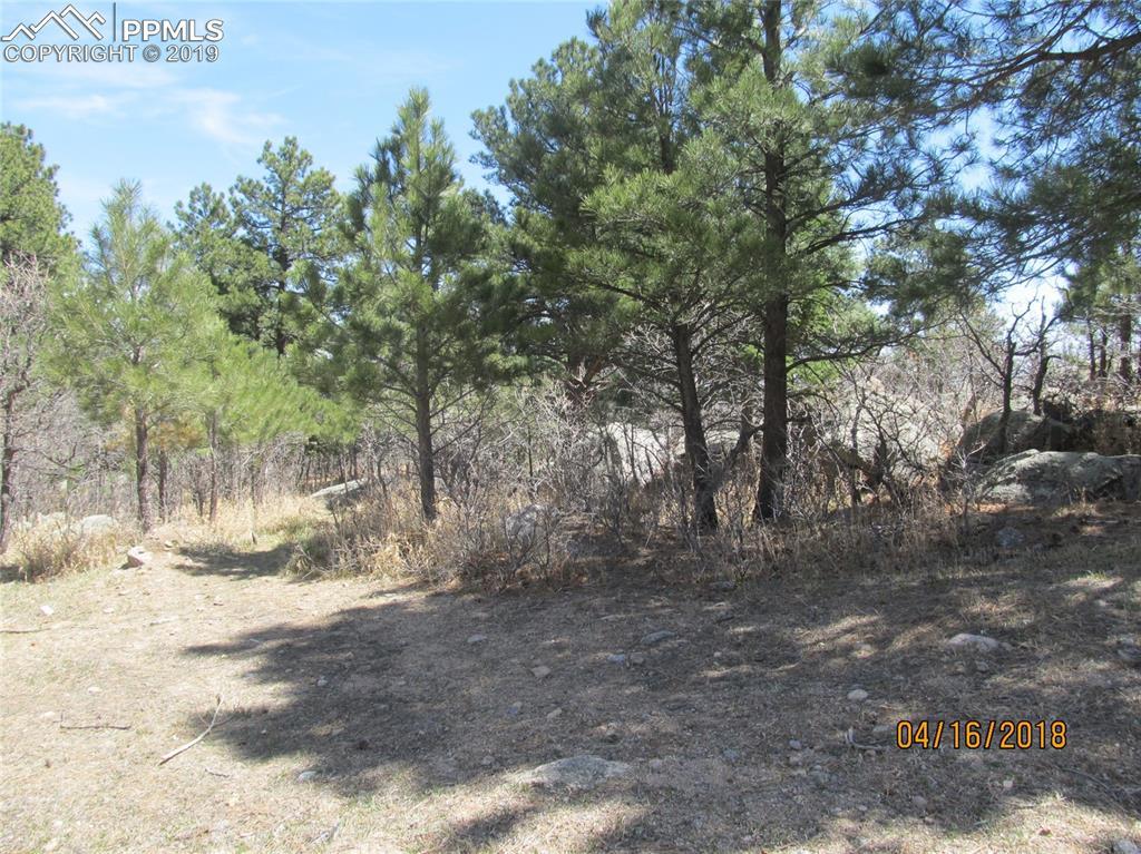 6055 Buttermere Drive - Photo 1