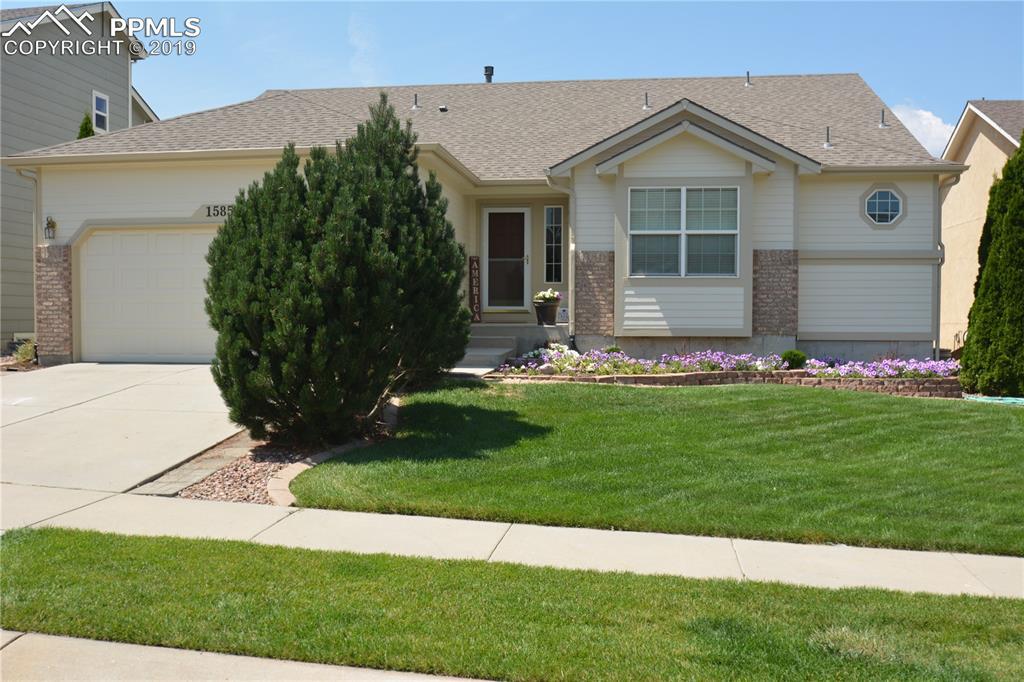 1585 Lily Lake Drive - Photo 1