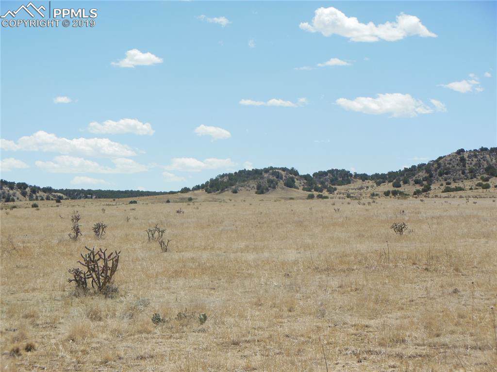 Lot 30 Katherine Lane - Photo 1