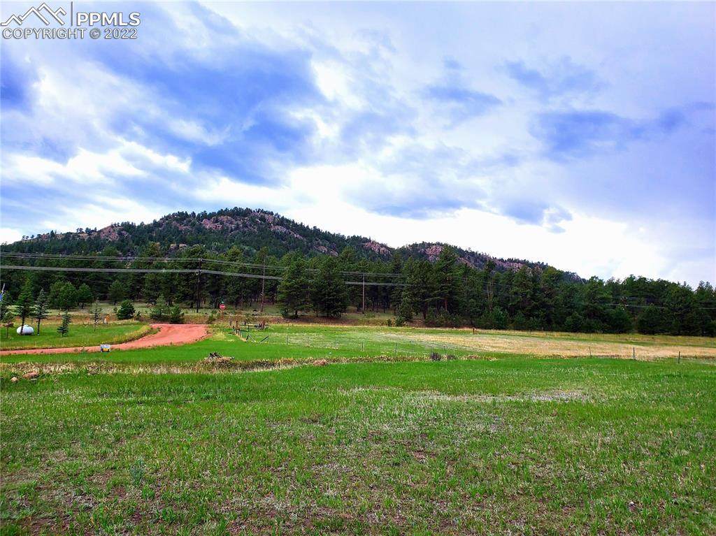 45 Saltlick Circle - Photo 1