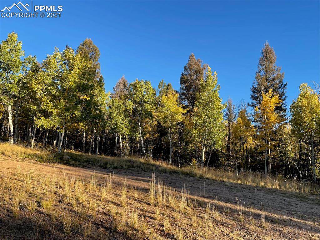 126 Cheyenne Way - Photo 1
