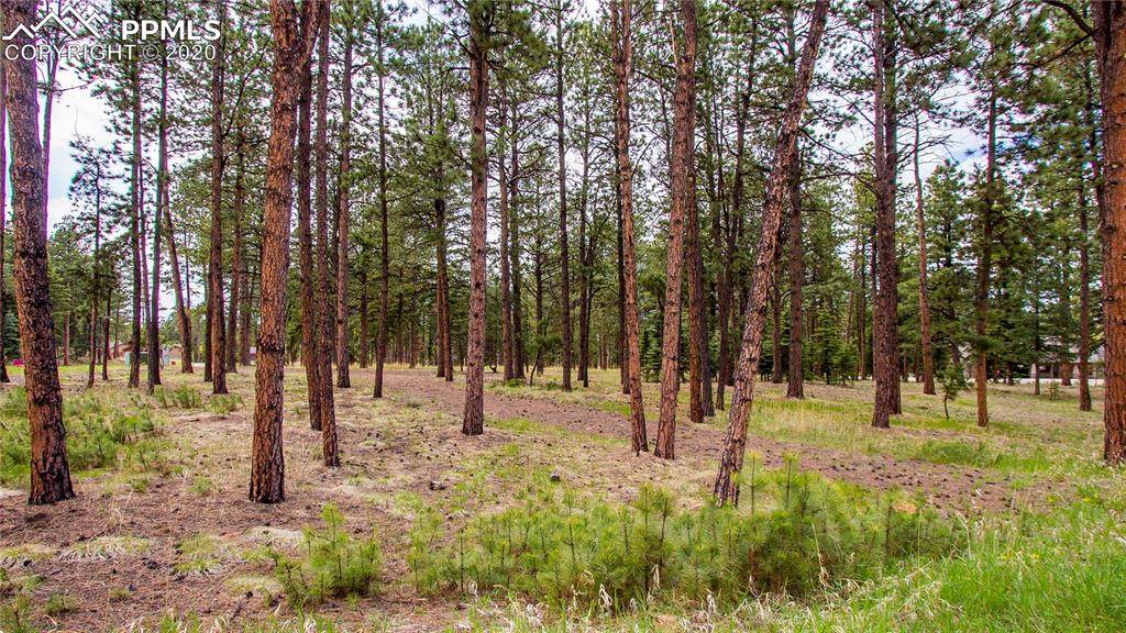 675 Chipmunk Drive - Photo 1