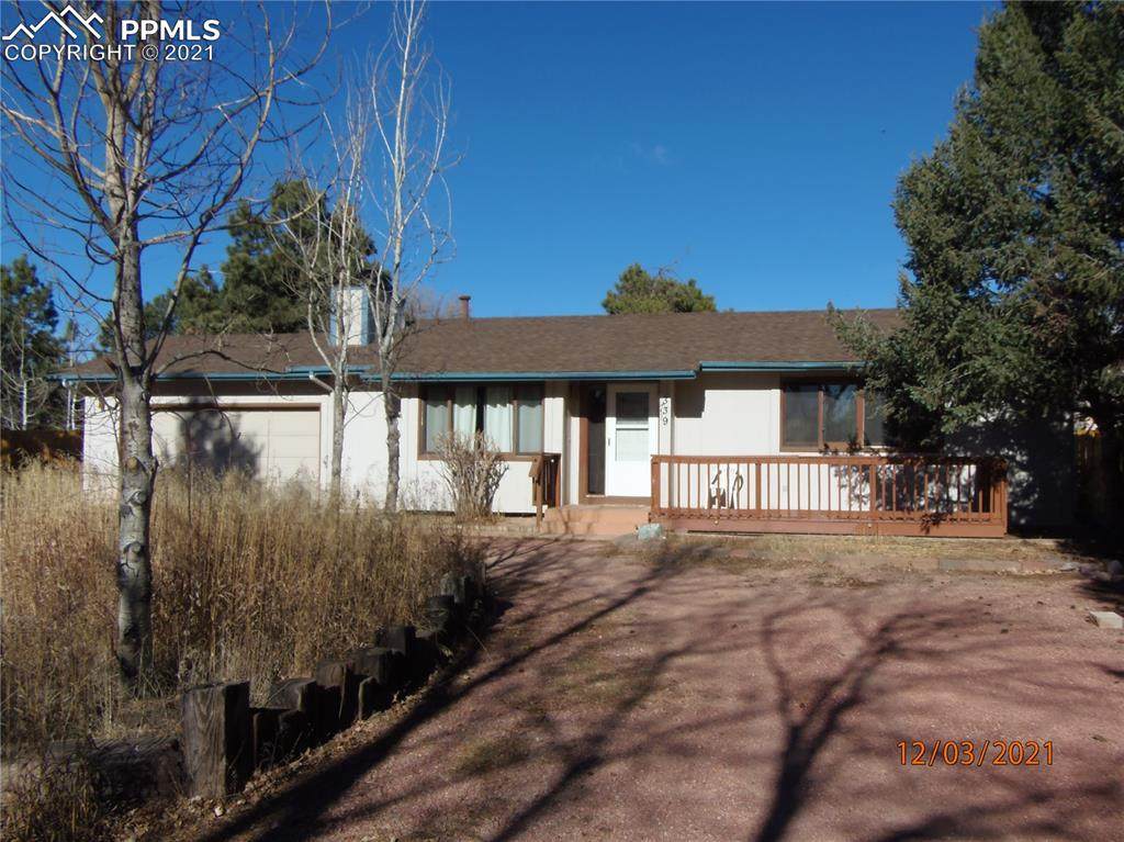 339 Buttonwood Place - Photo 1