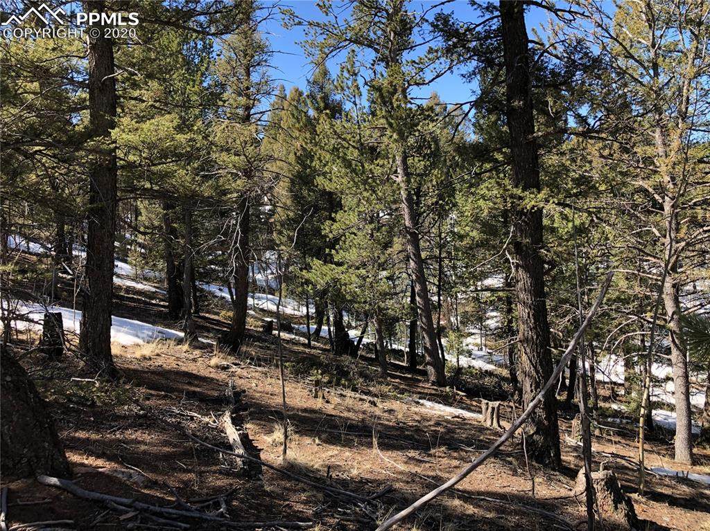320 Saguache Drive - Photo 1