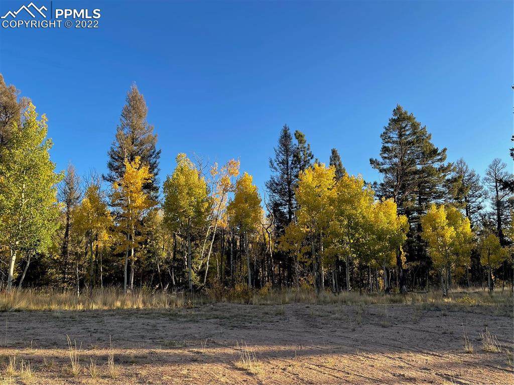 126 Cheyenne Way - Photo 1