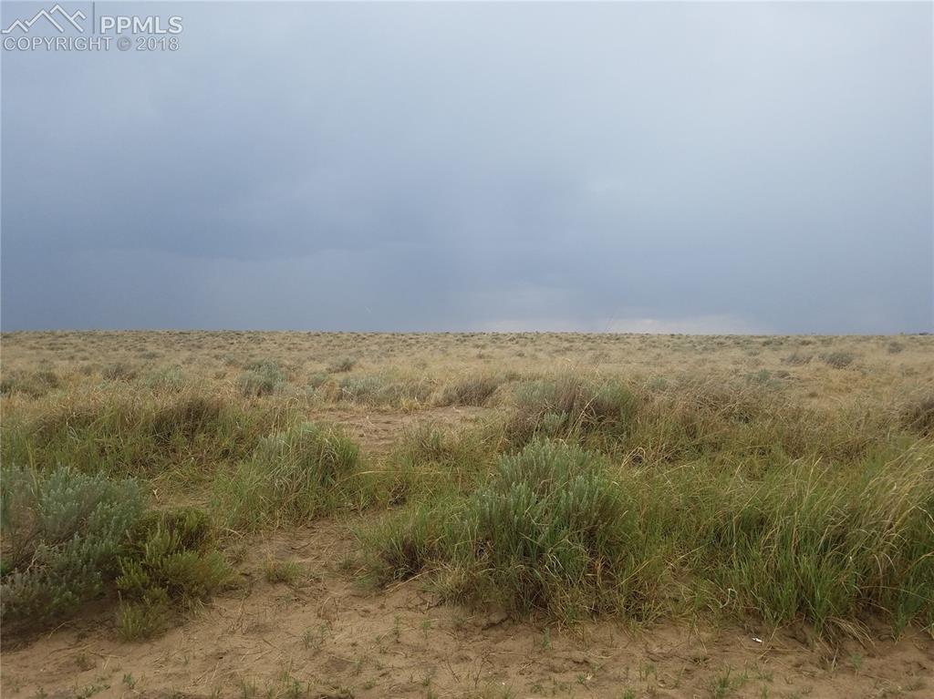14695 Lauppe Road - Photo 1