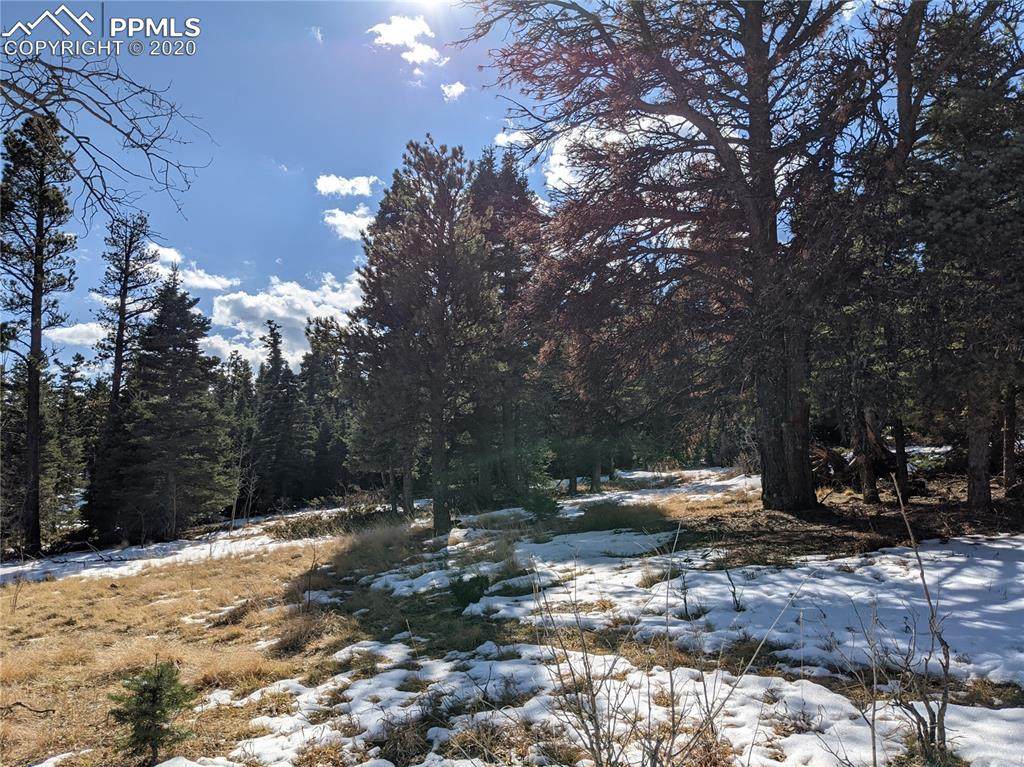 1587 Chalice Drive - Photo 1