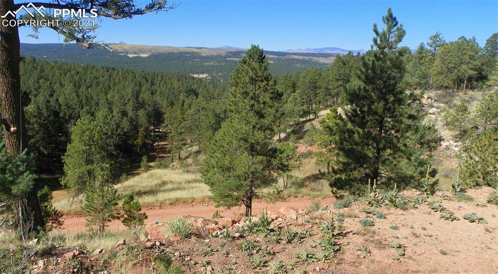 28 Missouri Gulch Road - Photo 1