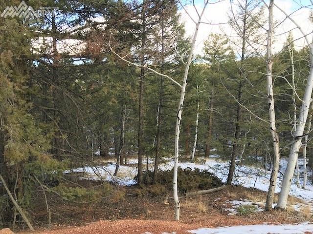 67 Feldspar Road - Photo 1