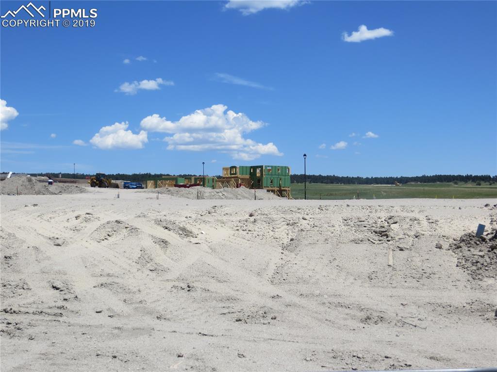 9737 Wolf Lake Drive - Photo 1