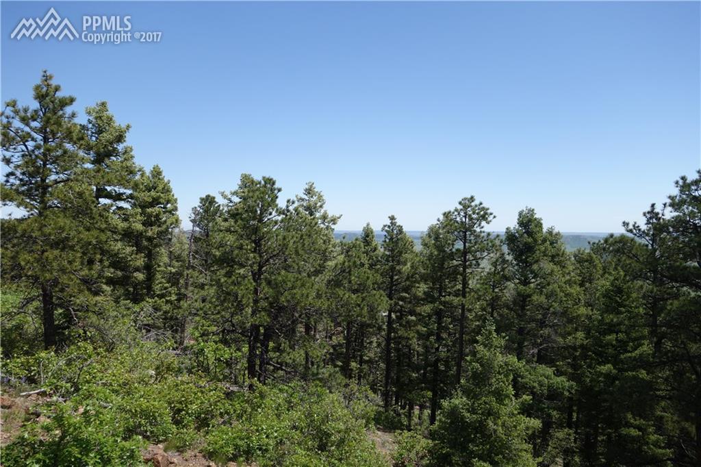 4054 Forest Lane - Photo 1