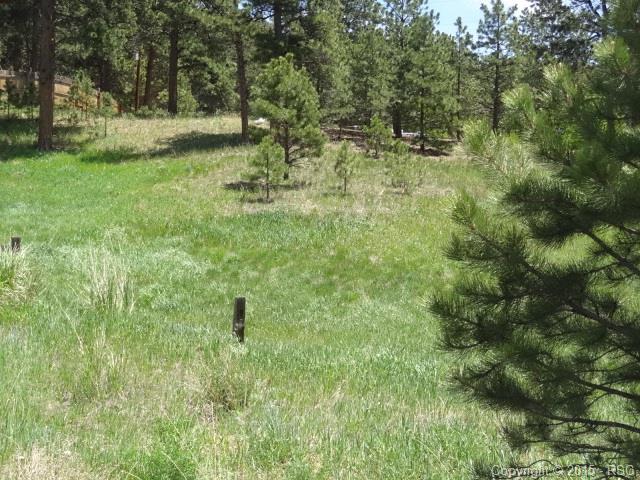145 Paradise Circle - Photo 1