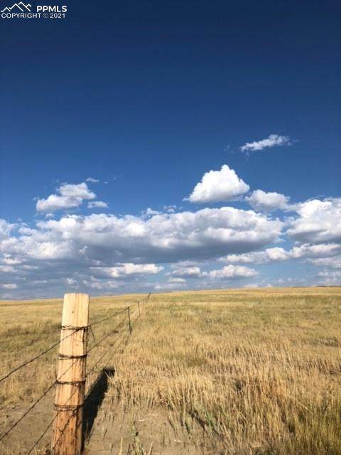 36590 Ramah Road - Photo 1