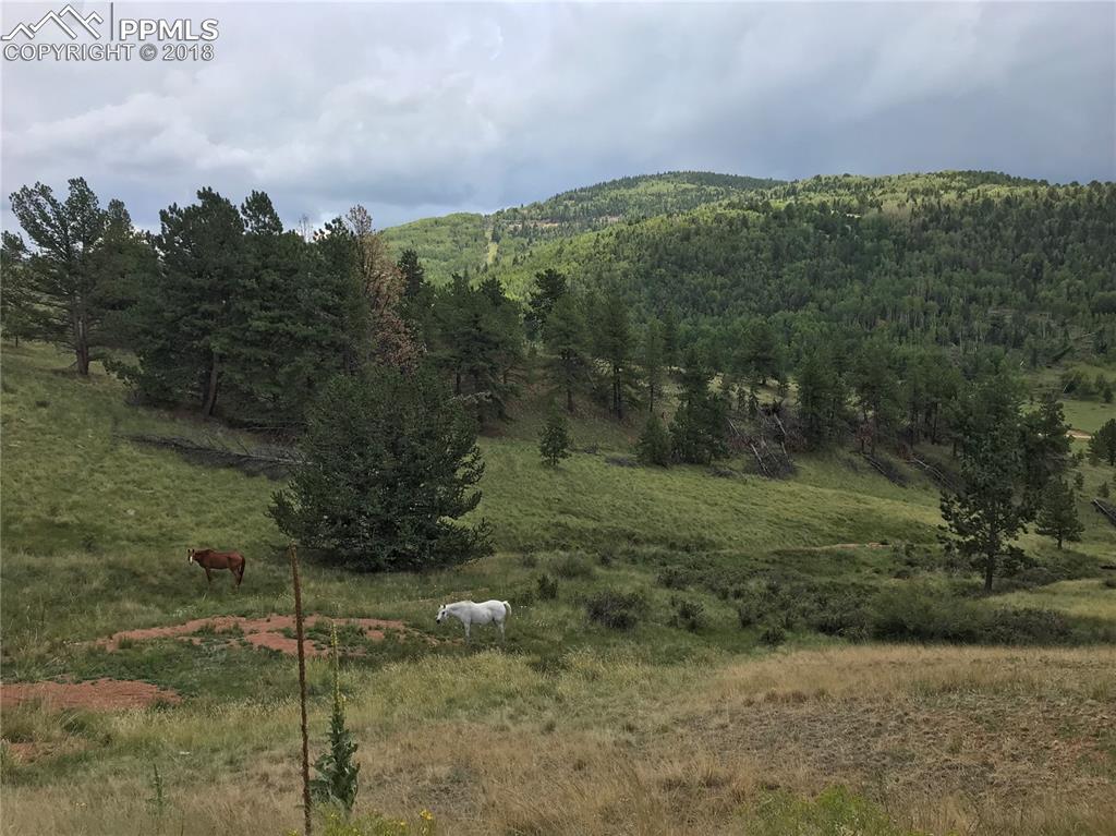 902 Copper Mountain Drive - Photo 1