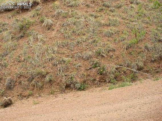 799 Vivenda Road - Photo 1