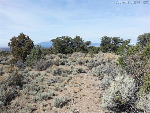4989 Rio Road - Photo 1