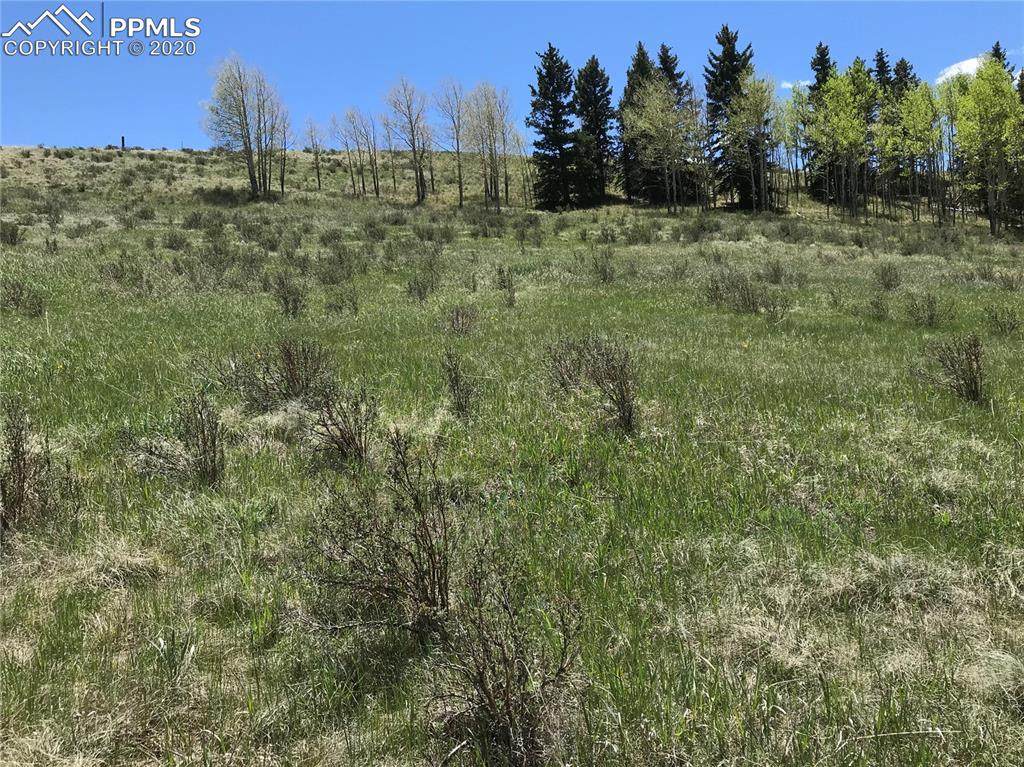 TBD County Road 25 - Photo 1