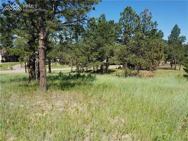 17565 Pond View Place - Photo 1