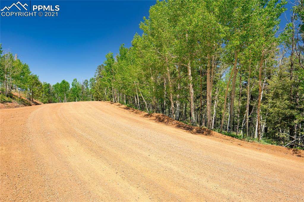 917 Princess Road - Photo 1