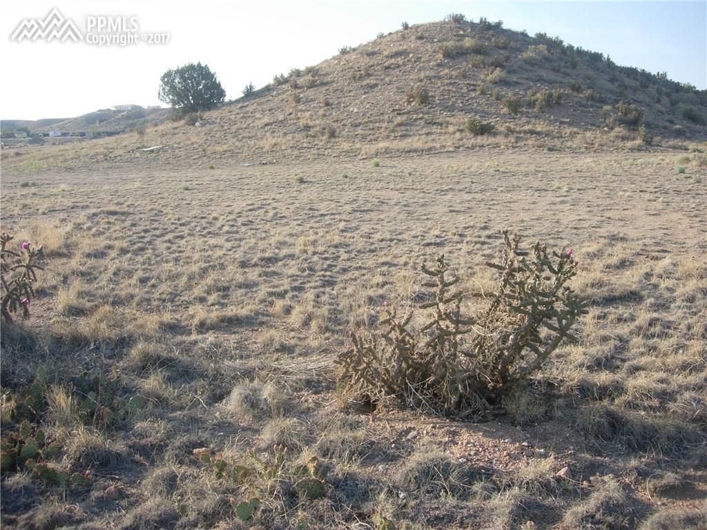 8472 Avenida Hermosa View - Photo 1