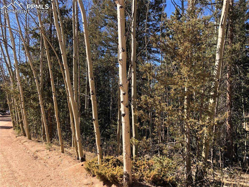 2725 Mountain Estates Road - Photo 1