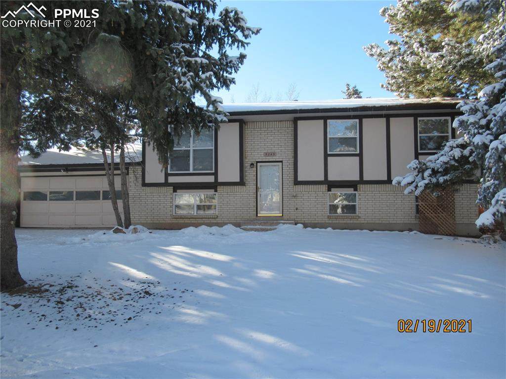 5245 Whimsical Drive - Photo 1