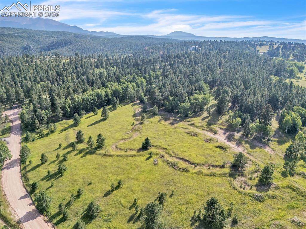  Forty Road - Photo 1