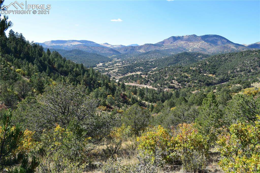 12250 Highway 9 - Photo 1