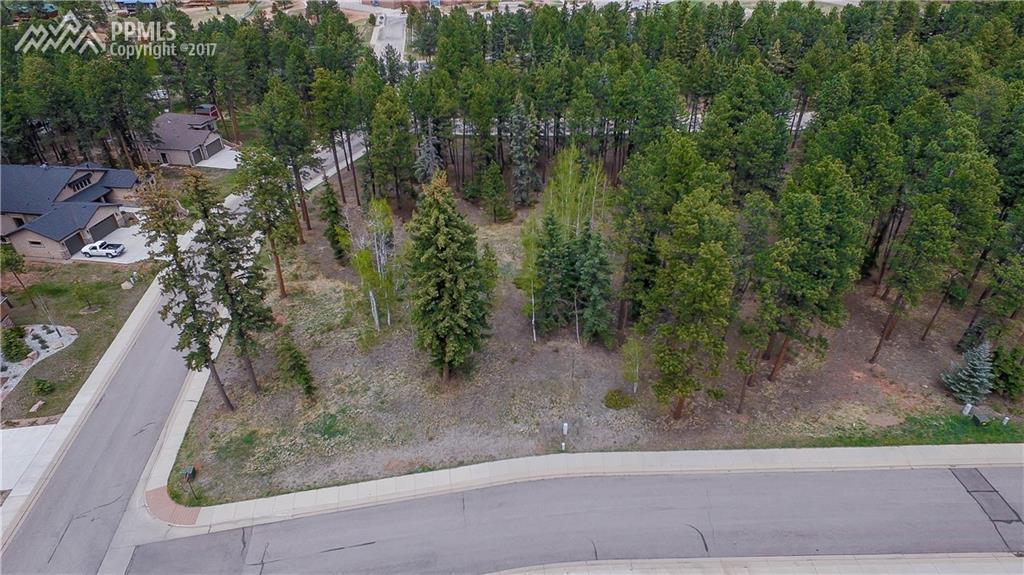 600 Meadowlark Lane - Photo 1