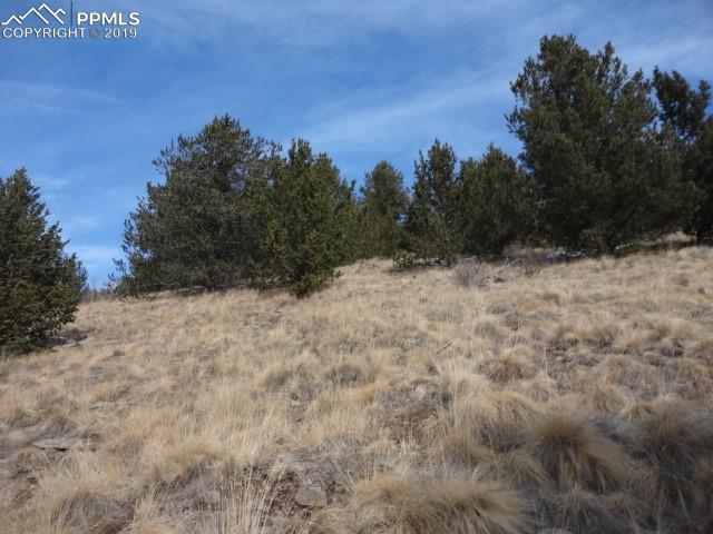 TBD6 Rhyolite Mountain Mesa Road - Photo 1