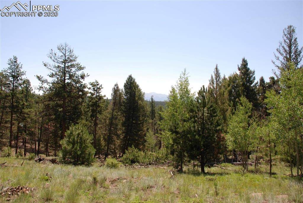 858 Fossil Creek Road - Photo 1