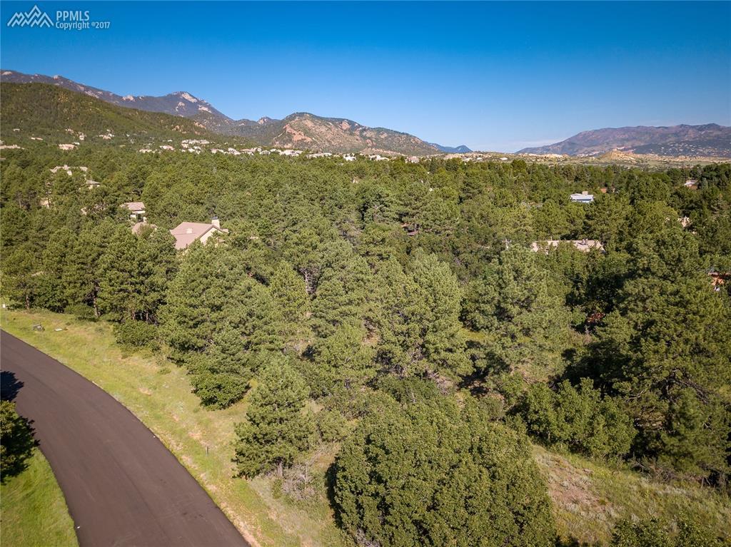 1720 Brantfeather Grove - Photo 1