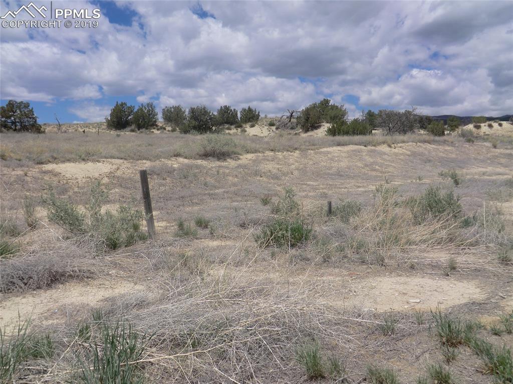 837 Pecos Point - Photo 1