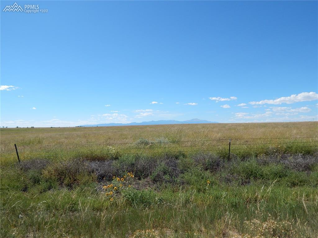 22185 Drennan Road - Photo 1