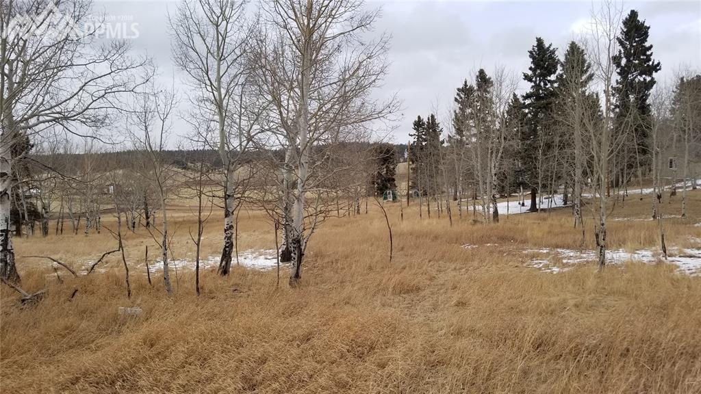 247 Will Scarlet Drive - Photo 1