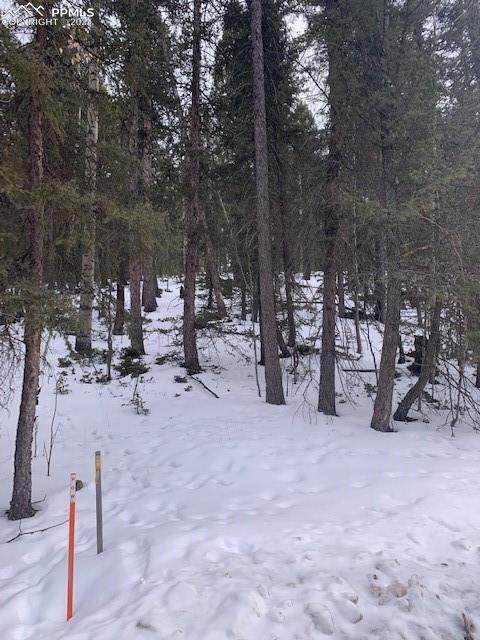 222 Banner Trail - Photo 1