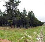 tbd Highway 67 Highway - Photo 1