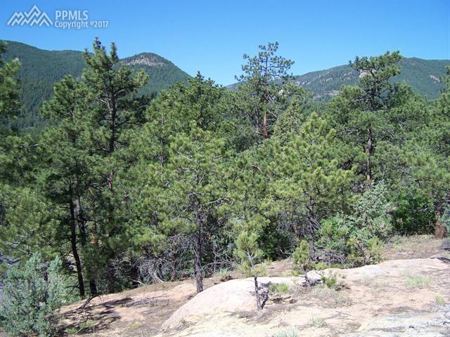 4945 Chippewa Drive - Photo 1
