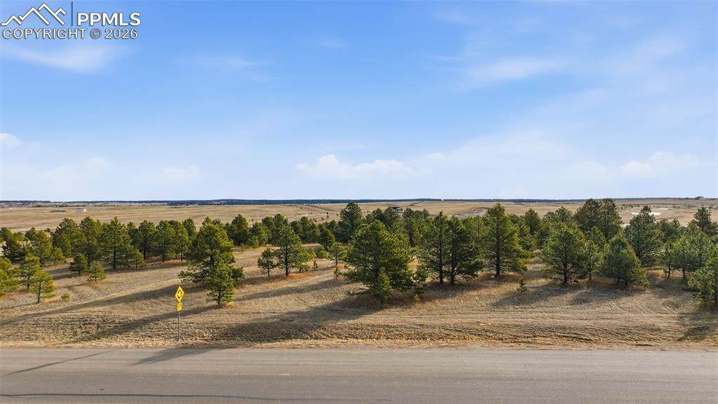 5555 Old Stagecoach Road - Photo 1