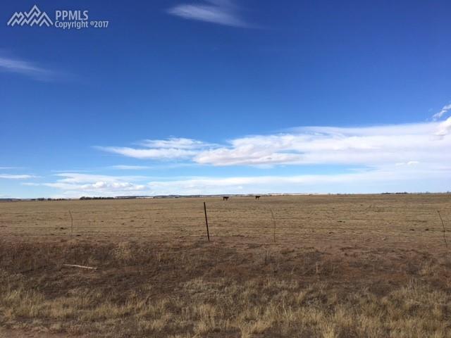21602 Goldeneagle Drive - Photo 1