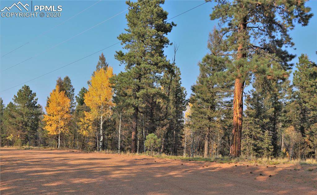 451 Chipeta Creek Trail - Photo 1