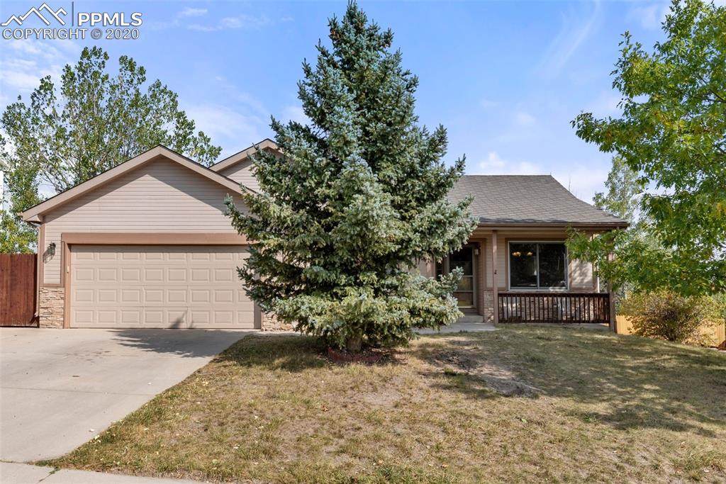 254 Candletree Circle - Photo 1