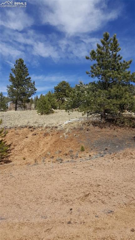 63 Pinon Circle - Photo 1