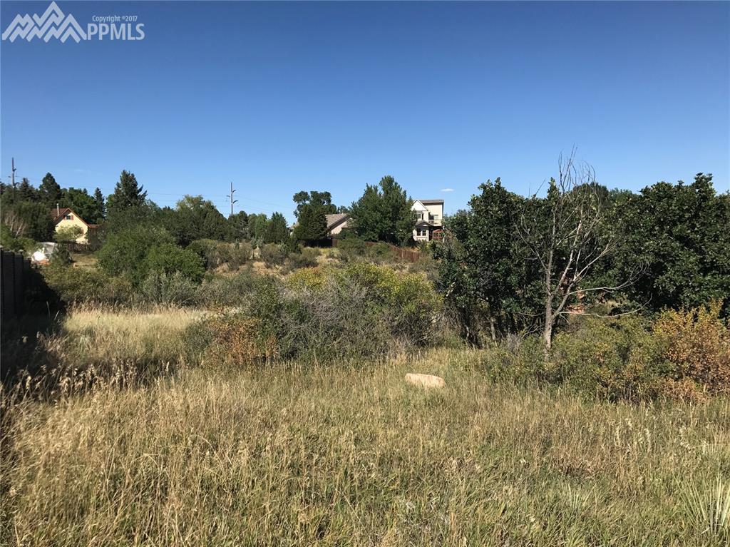 1991 Mesa Park View - Photo 1